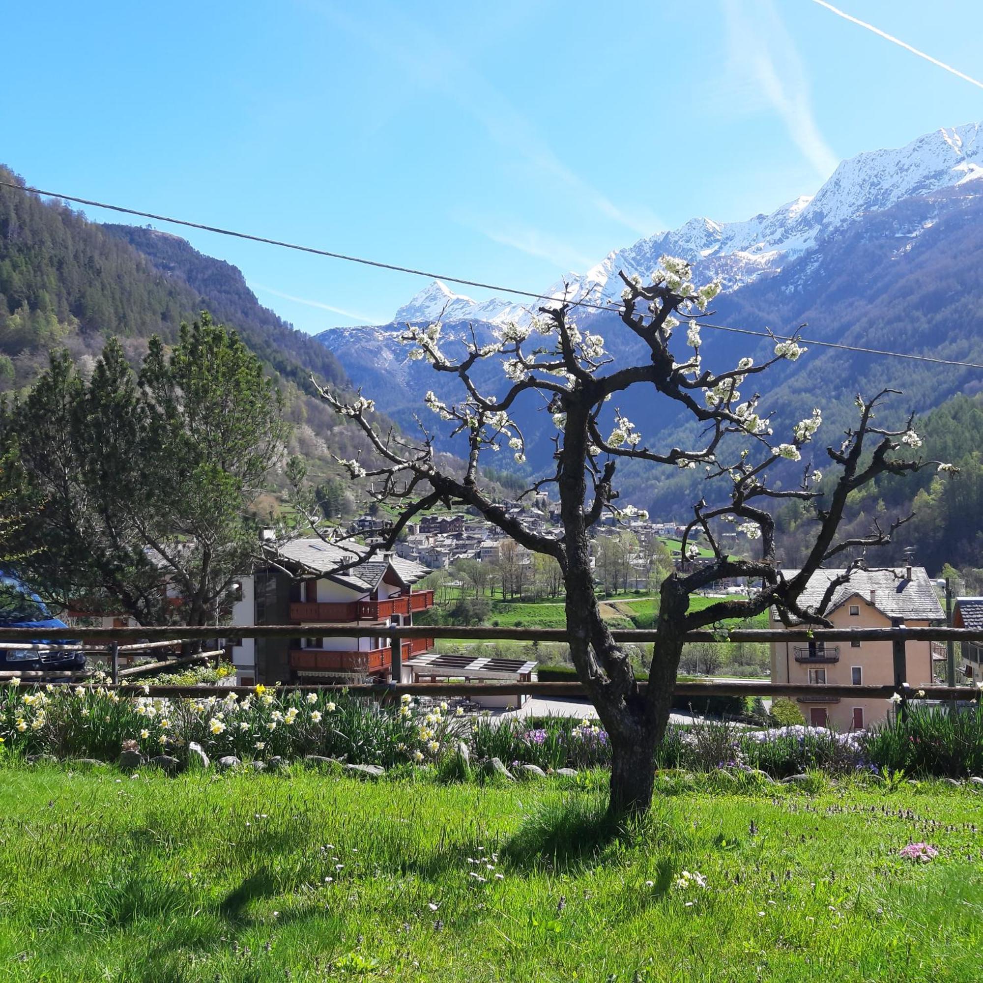 Alpino B&B Chiesa in Valmalenco Exterior photo